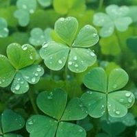 シニア世代🍀少人数🍀雑談🍀ライブトーク🍀50代から【20人ぐらい】