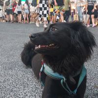 友善地圖補完行動