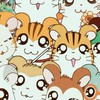 🧡VCR 歌い手 実況者  激激緩也🧡