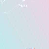Betta & Plant：不定期進口展鬥群