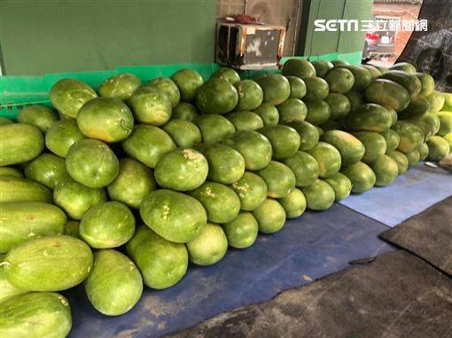 單親癌父種西瓜養家　手術前憂賣不完