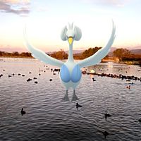 ポケモンGO  新潟