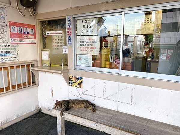 難読漢字 知らずに食べてる 松魚 公魚の読み方は