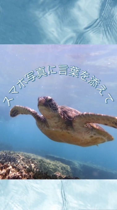 スマホ写真に言葉を添えて