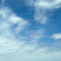 辻村深月先生の作品が好きな方！(中学生限定)