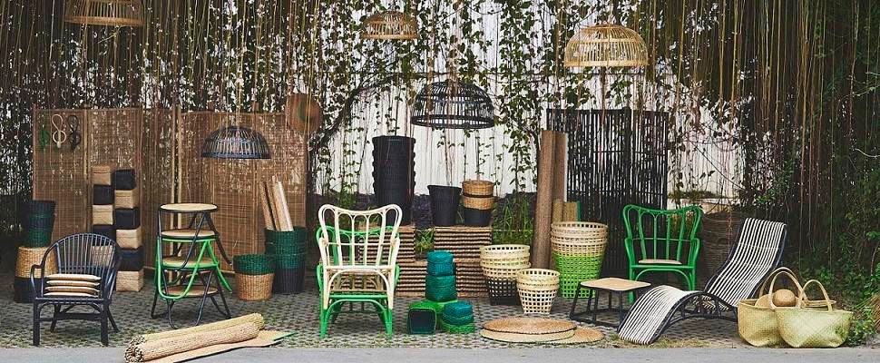 野餐露營瘋！帶什麼才OK？