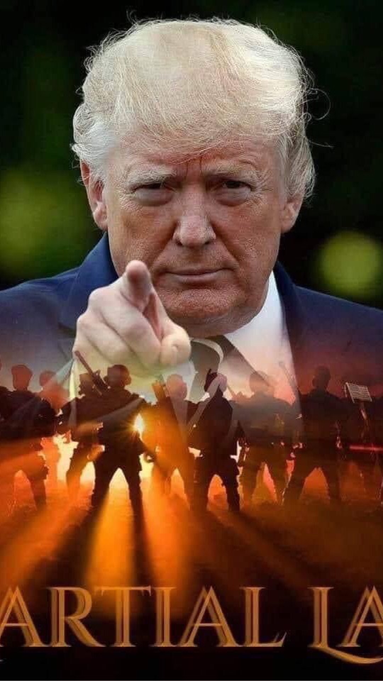 トランプ大統領再選までの戦い