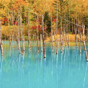 【跟團】北海道團旅遊點我搜