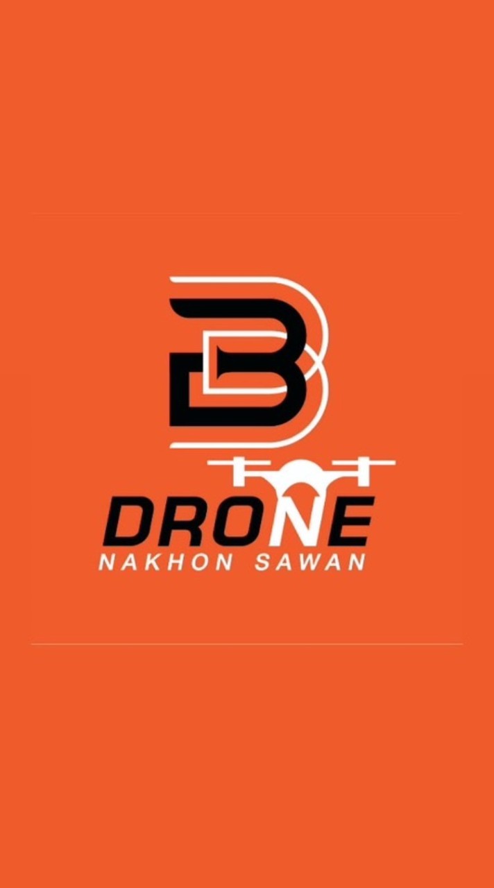 Brother drone