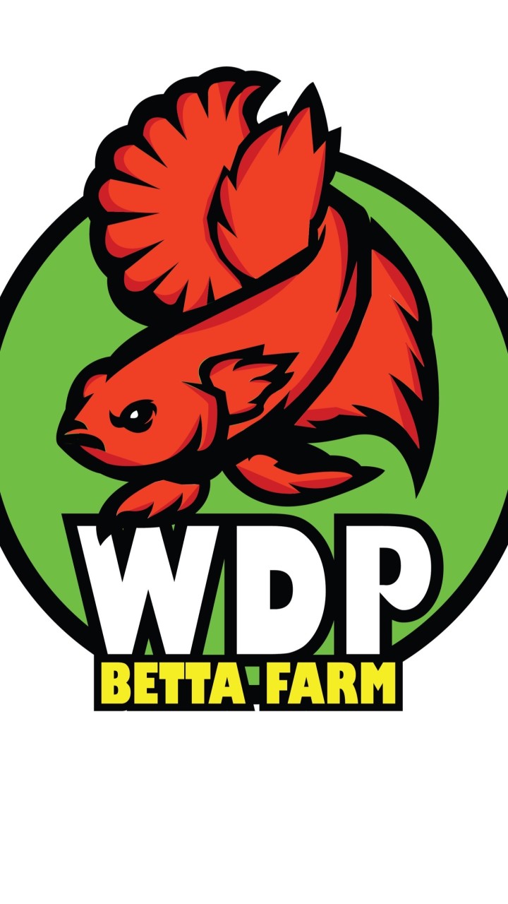 Wdp Betta Farm