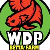 Wdp Betta Farm