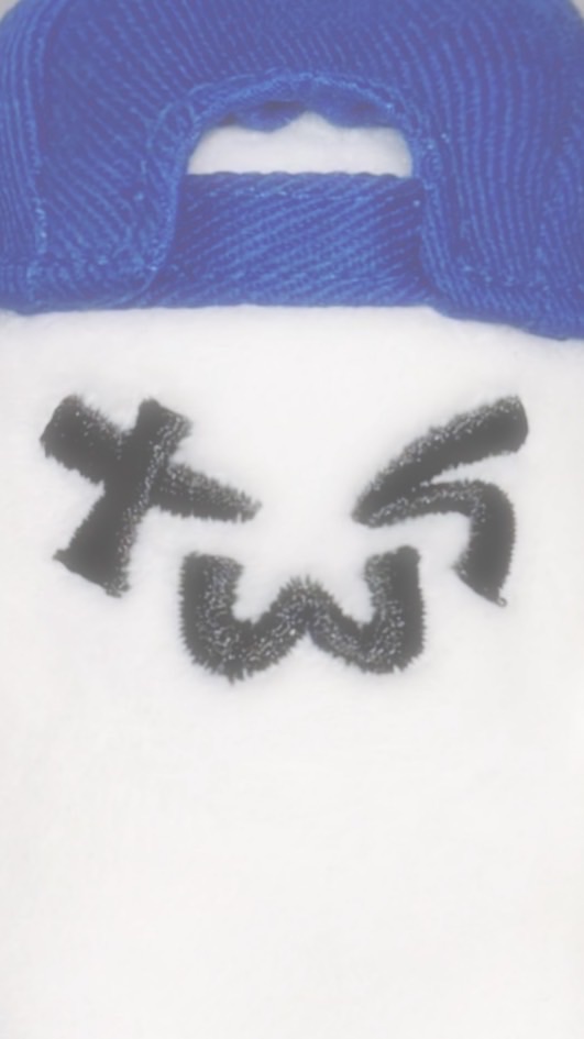 ‧˚ʚTWS♥42ɞ 吐司袋🍞⋆⁺⟡