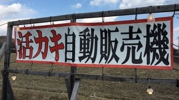 公路旁的生蠔自販機