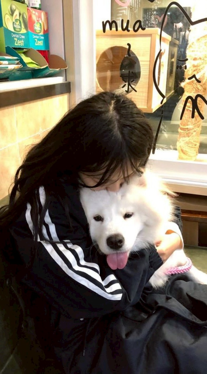 𖥻 ׁ ׅ pumlike fol  ! ׁ ׅ 🪷