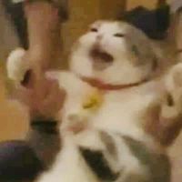 猜猜我是誰6J