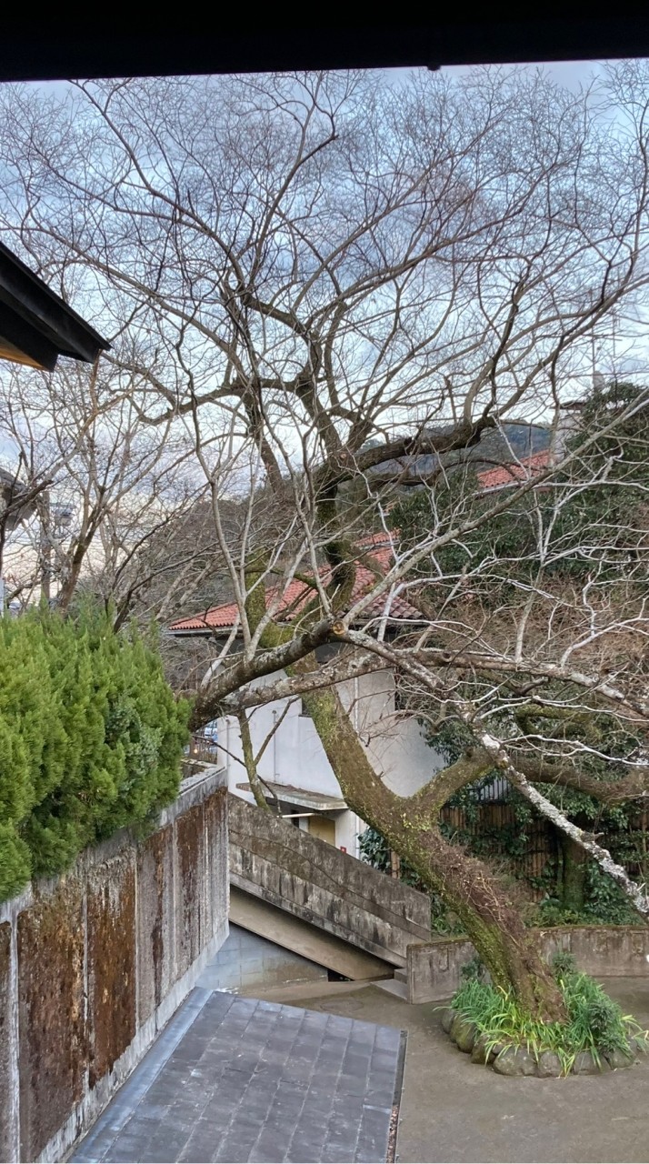 小中学生限定雑談💓