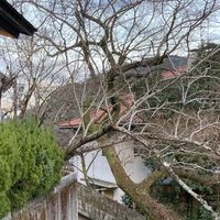 小中学生限定雑談💓