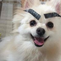 学生限定！ネッ友作ろう！！！