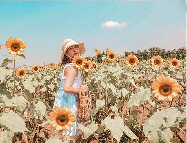 照片來源：IG@chungnichen