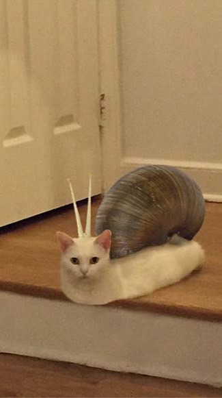 迫真ブルアカ部避難所