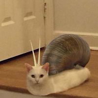 迫真ブルアカ部避難所