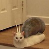 迫真ブルアカ部避難所