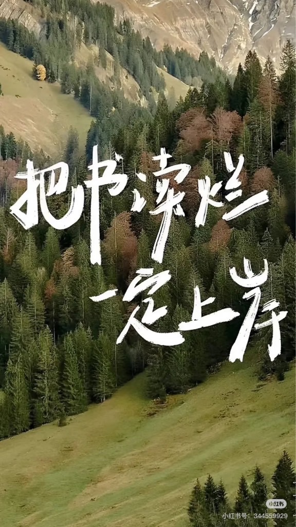 各自努力頂峰相見🫡