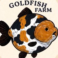 MN Goldfish🧡❤️