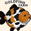 MN Goldfish🧡❤️