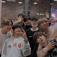 BTS fan