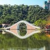 智選股團-當沖.短線.波段研討社
