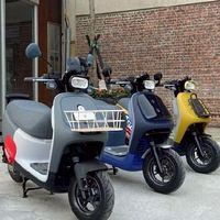 GOGORO  VIVA MIX--新北桃園