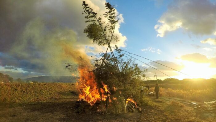在田埂間焚燒的左義長，主要由竹子構成。) 新年書法該寫些什麼呢