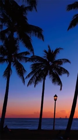 Zygomatic Implant Hands-On Course 2025 in Hawaii