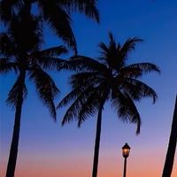 Zygomatic Implant Hands-On Course 2025 in Hawaii