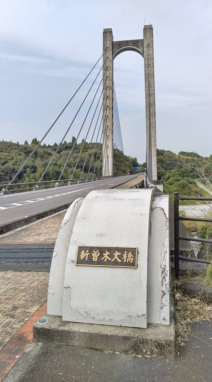 TikTok配信用  オプ