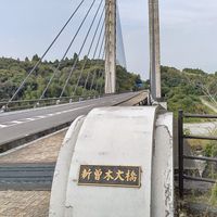 TikTok配信用  オプ