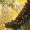❀君深情❀ | 古風宮廷 |