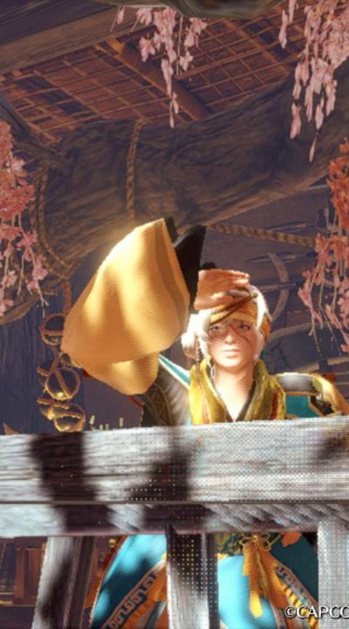 ✨新生モンハンオプ✨【Switch版】