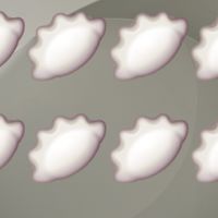 湯湯水水🥟小代購群🏴‍☠️💡💎💣