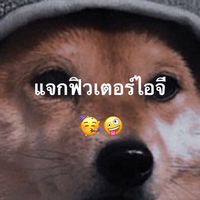 แจกฟิวเตอร์ไอจี🤪😜ฝากไอจี