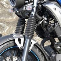 Yamaha FZX 150 (TWN)