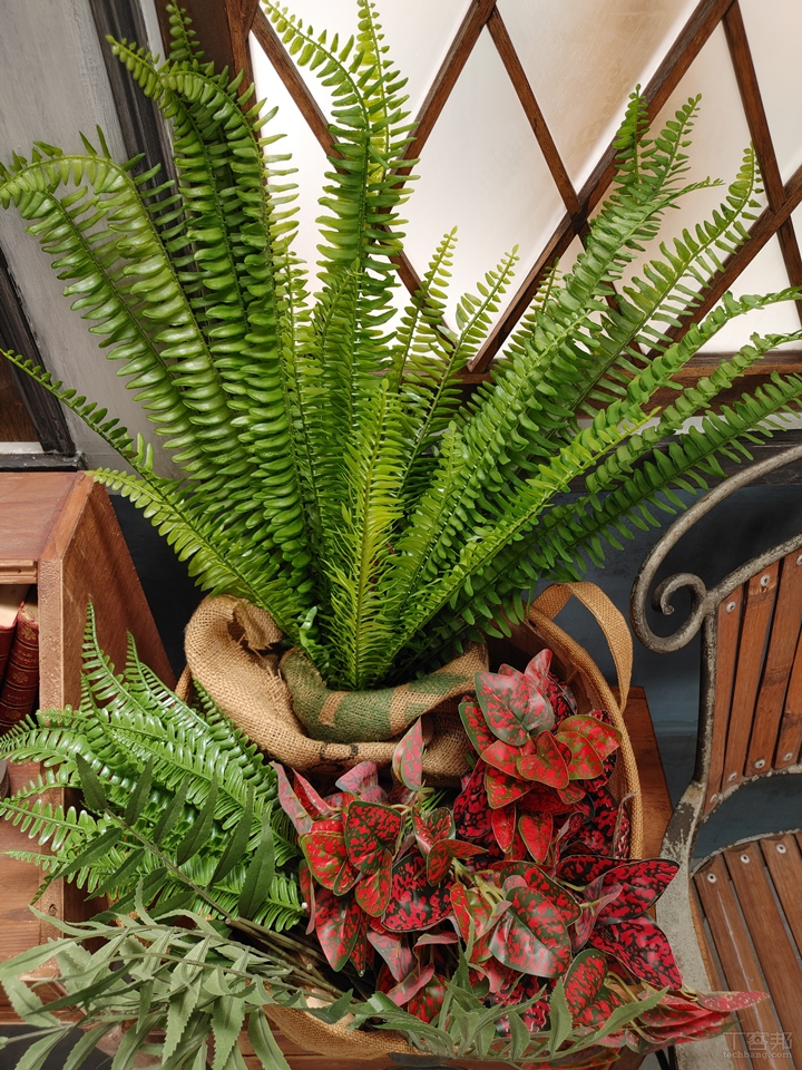 LG V60 ThinQ 5G review