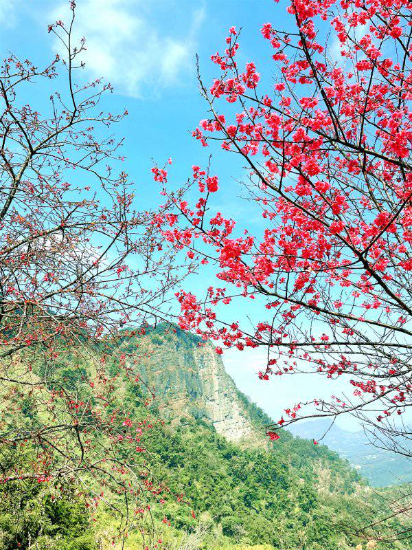 馬拉邦山 滿山楓紅的古戰場 健行筆記 Line Today