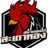 สนามชนไก่สะเดาทอง