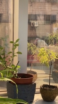 采凡家人社群