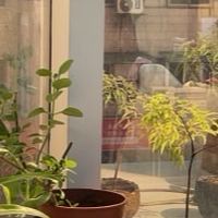 采凡家人社群