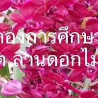 งานกองการศึกษา ศาสนาและวัฒนธรรม