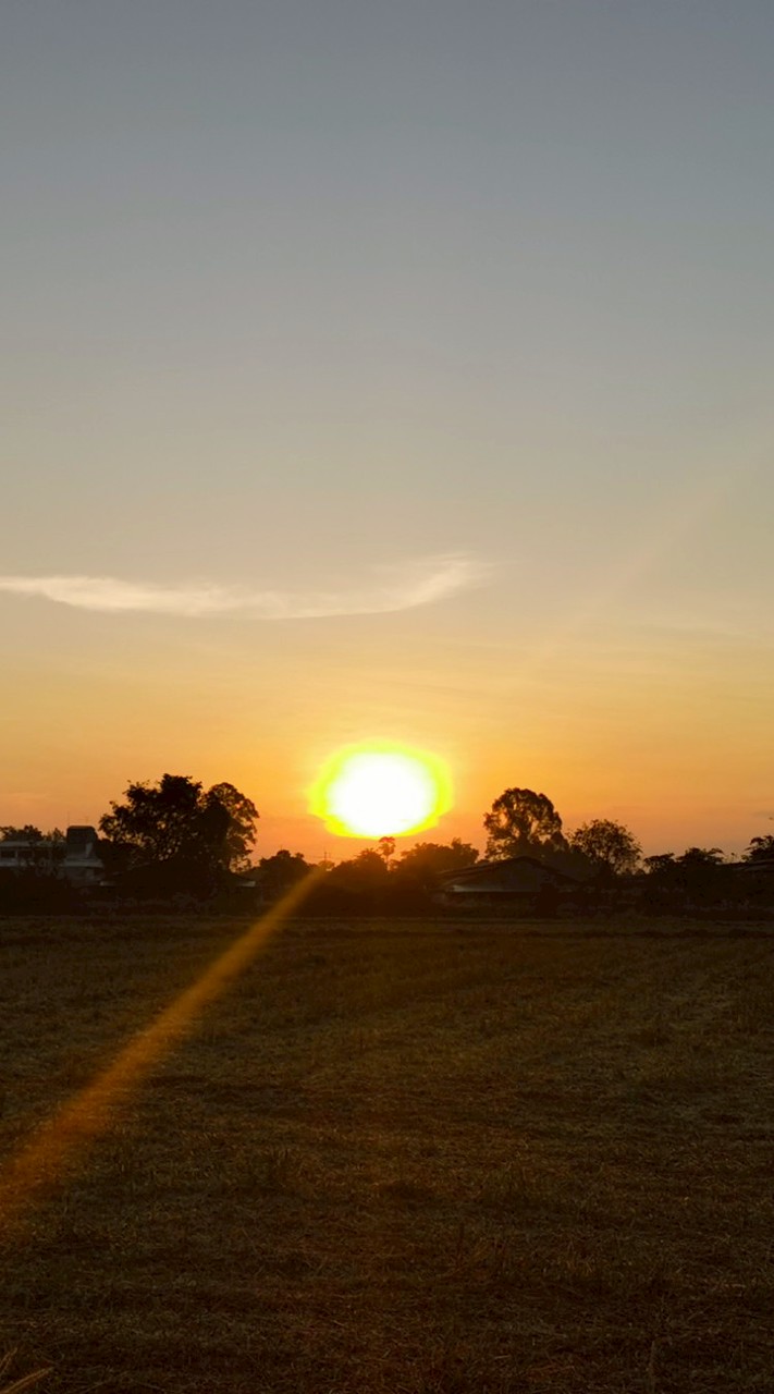 514207 Thermal Physics - 2568