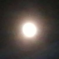 職安護策進群（職業安全衛生護理師策進社群）